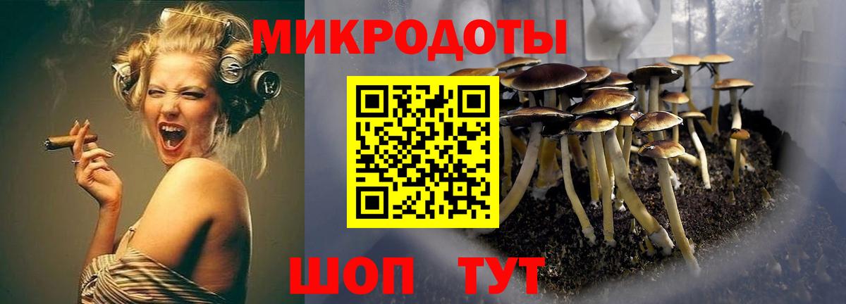 Галлюциногенные грибы мухоморы  Галлюциногенные грибы GOLDEN TEACHER  Коммунар  Вход с VPN 